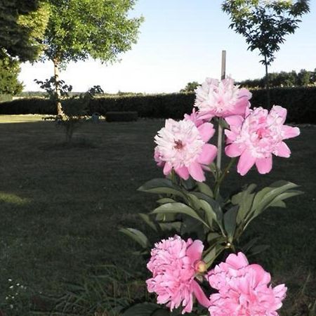 Fermette Tourangelle Renovee Avec Jardin Et Proximite Foret, Pres Du Zoo De Beauval Et Des Chateaux - Fr-1-381-322 Villa Genille Exterior photo