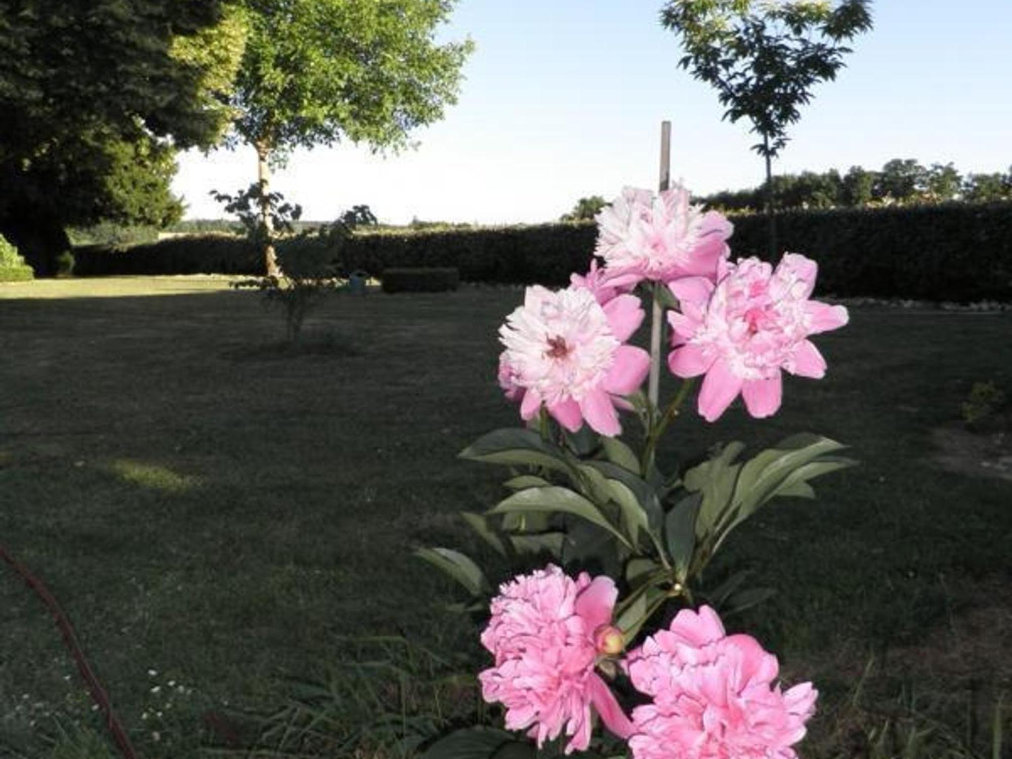 Fermette Tourangelle Renovee Avec Jardin Et Proximite Foret, Pres Du Zoo De Beauval Et Des Chateaux - Fr-1-381-322 Villa Genille Exterior photo